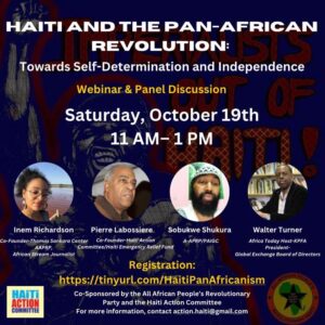 Read more about the article Watch: Haiti and the Pan-African Revolution